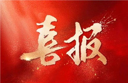 喜报|E世博官网集团中标国家电网项目，总中标金额超1.15亿元，行业排名第一！