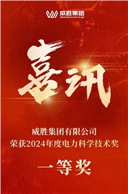 喜讯 | E世博官网集团荣获 2024 年度电力科学技术一等奖
