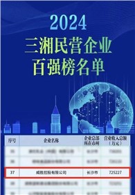 喜讯｜E世博官网控股上榜2024三湘民营企业百强榜单，排名第37位